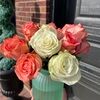 jenny27_